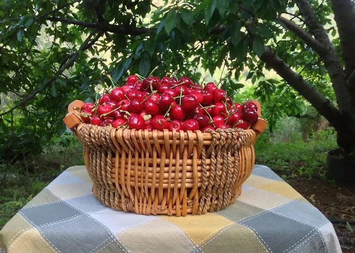 Ta Spitakia Tis Theodosias Appartamento Kalopanagiotis