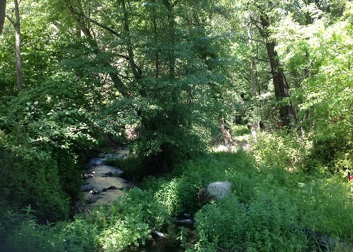 Ta Spitakia Tis Theodosias * Kalopanagiotis