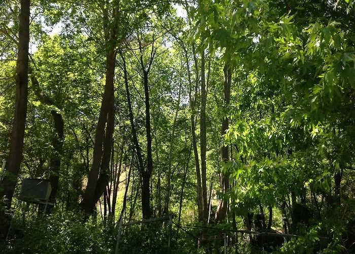 Ta Spitakia Tis Theodosias Appartamento