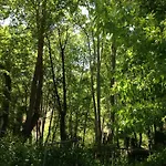 Ta Spitakia Tis Theodosias Апартаменты