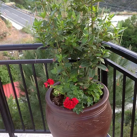 Ta Spitakia Tis Theodosias شقة *