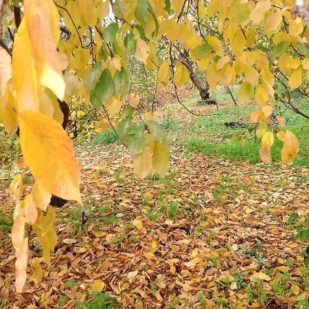 شقة Ta Spitakia Tis Theodosias كالوبانايوتيس