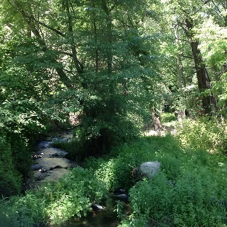 Ta Spitakia Tis Theodosias * كالوبانايوتيس