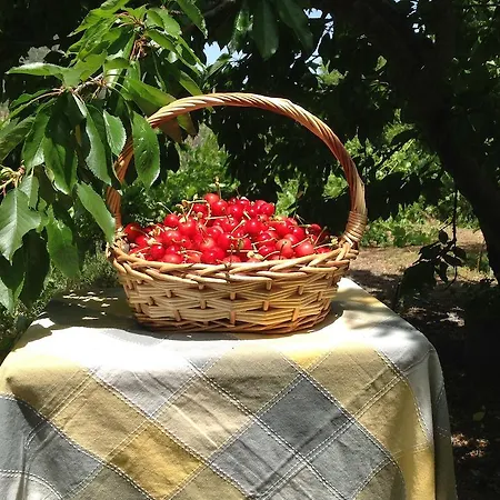 Ta Spitakia Tis Theodosias كالوبانايوتيس