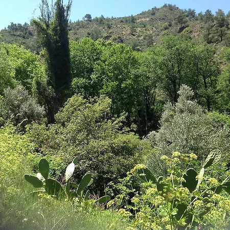 Ta Spitakia Tis Theodosias كالوبانايوتيس