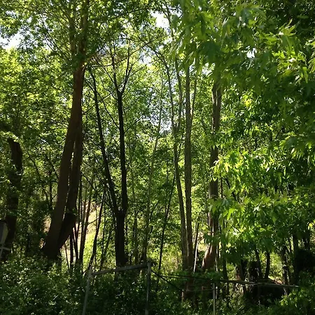 Ta Spitakia Tis Theodosias شقة