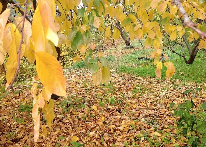 Lägenhet Ta Spitakia Tis Theodosias Kalopanagiotis