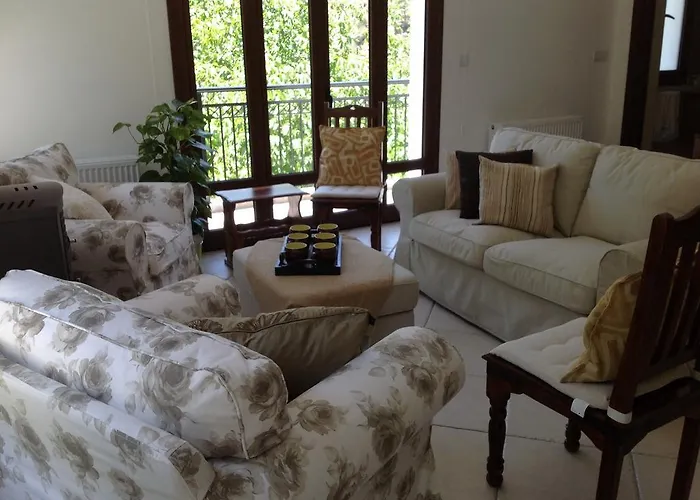 Ta Spitakia Tis Theodosias