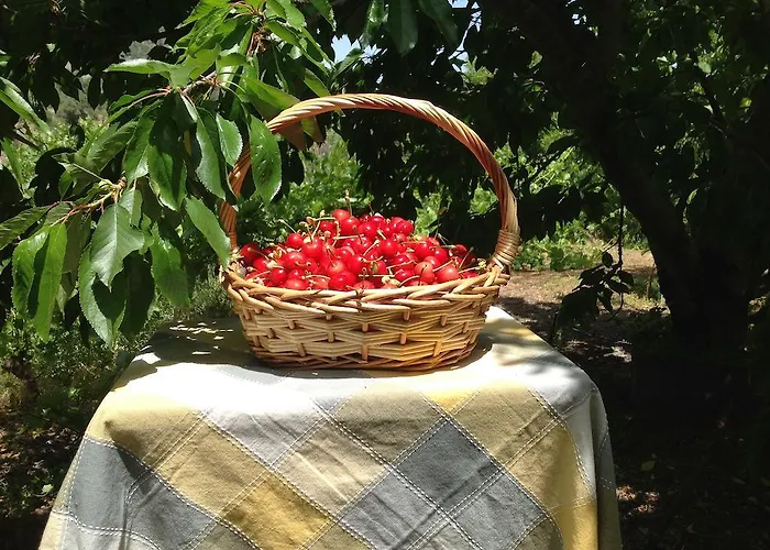 Ta Spitakia Tis Theodosias Kalopanagiotis