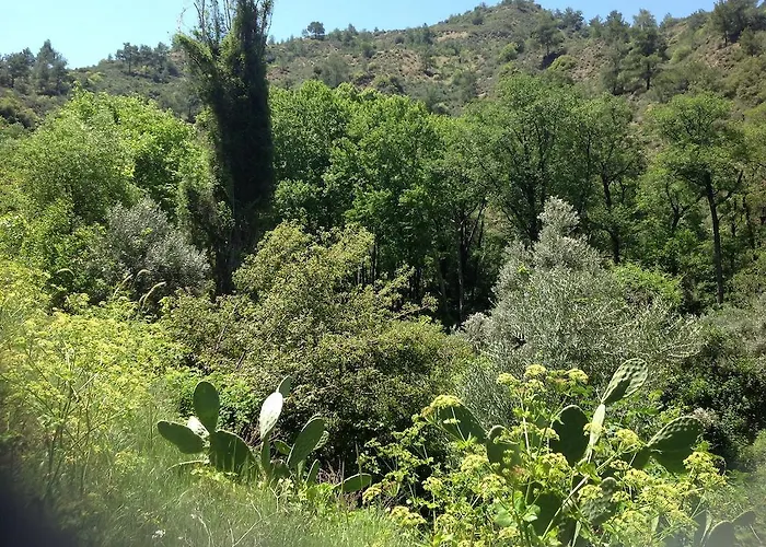 Ta Spitakia Tis Theodosias Kalopanagiotis